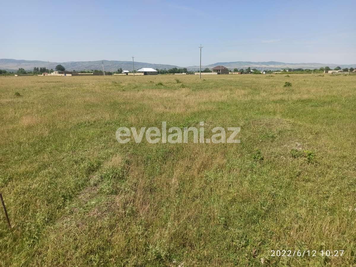 Satılır, torpaq, 6 sot, Şəki