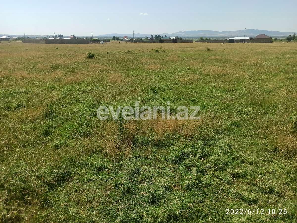 Satılır, torpaq, 6 sot, Şəki