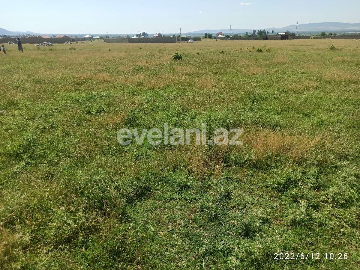 Satılır, torpaq, 6 sot, Şəki