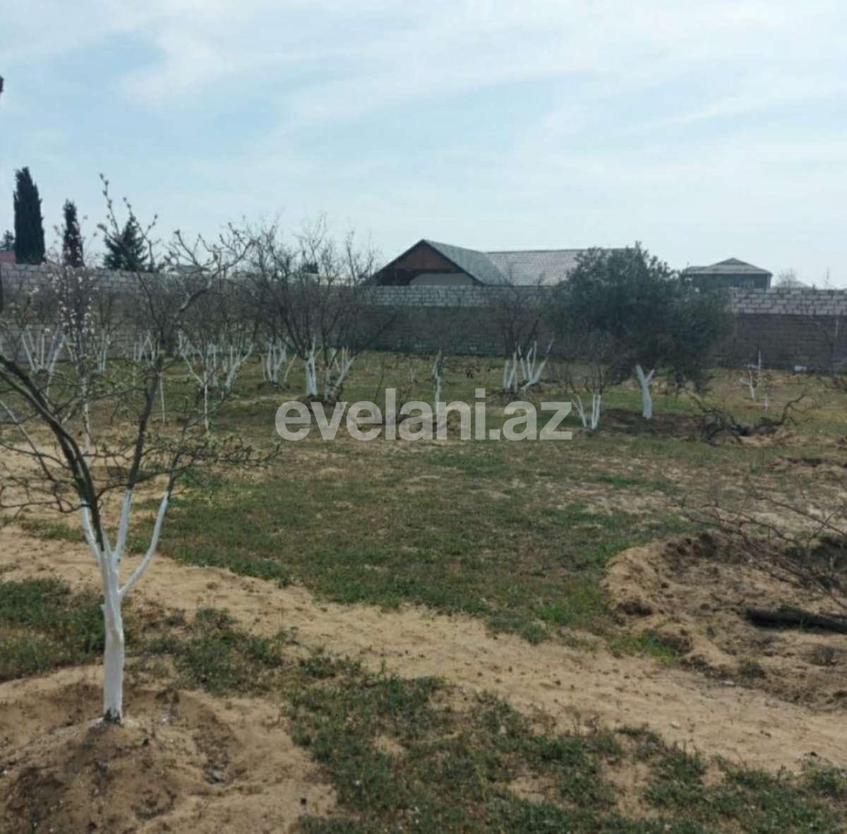 Satılır, torpaq, 24 sot, Bakı, Abşeron r, Novxanı q.