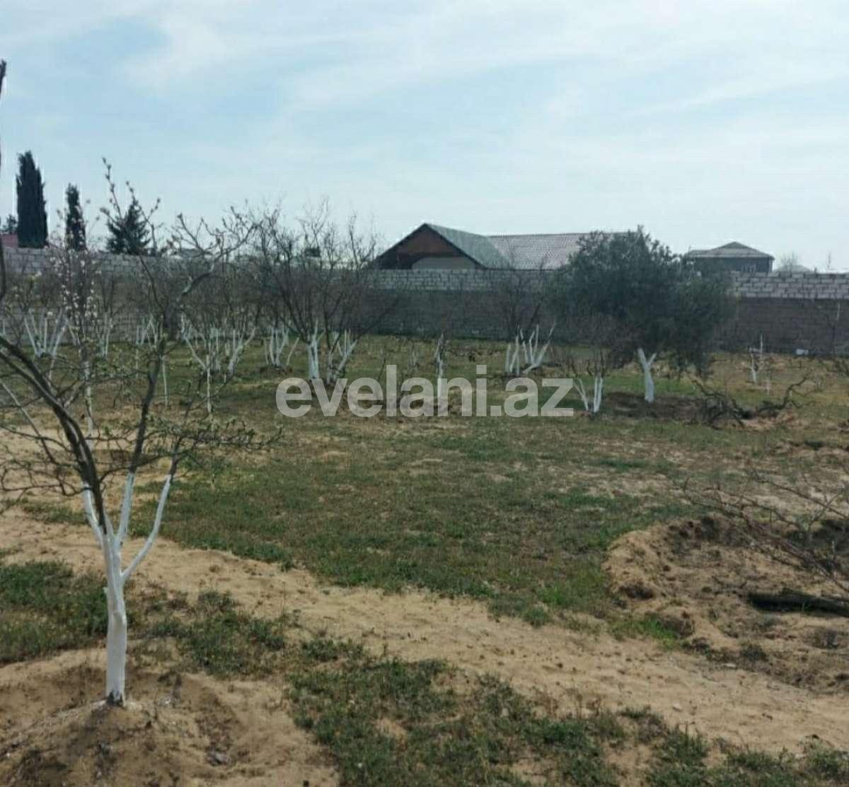 Satılır, torpaq, 24 sot, Bakı, Abşeron r, Novxanı q.