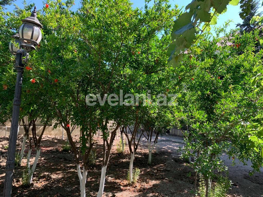 Satılır, həyət evi / bağ, 3 otaqlı, 100 m², Bakı, Abşeron r, Novxanı q.