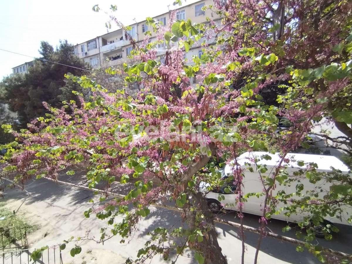 Sale, old building, 2 room, 60 m², Baku, Yasamal r, Inshaatchilar m.