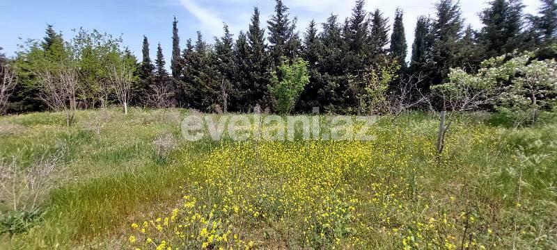 Sale, villa, 7 room, 614 m², Baku, Khazar r, Buzovna d.