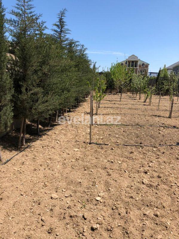 Sale, villa, 7 room, 614 m², Baku, Khazar r, Buzovna d.