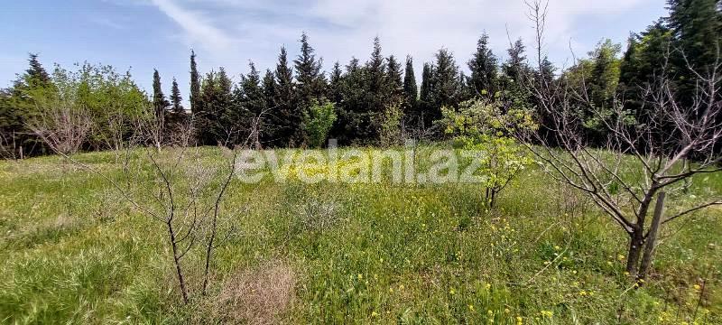 Sale, villa, 7 room, 614 m², Baku, Khazar r, Buzovna d.