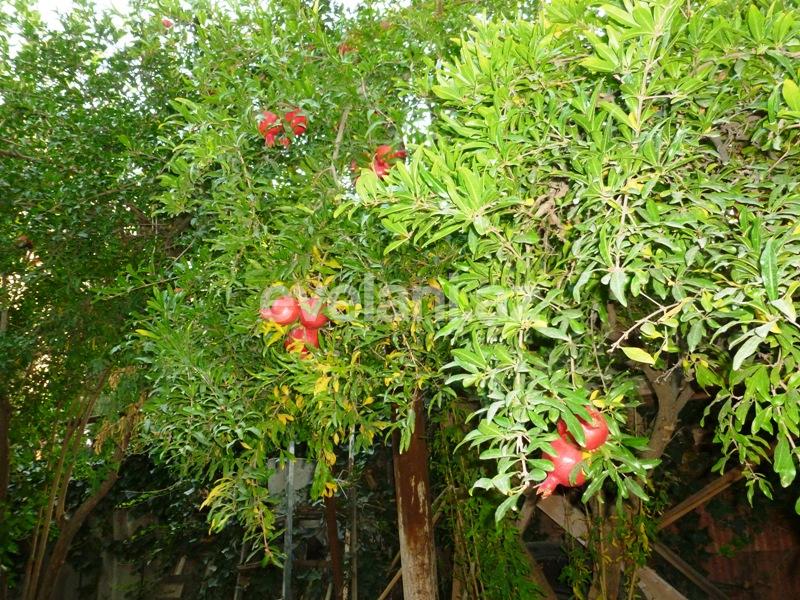 Satılır, obyekt, 120 m², Bakı, Binəqədi r, 9-cu mikrorayon q.