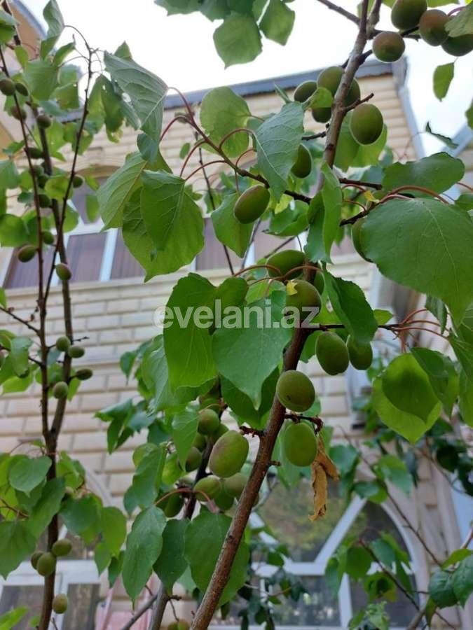 Kirayə verilir, həyət evi / bağ, 5 otaqlı, 220 m², Bakı, Xəzər r, Buzovna q.