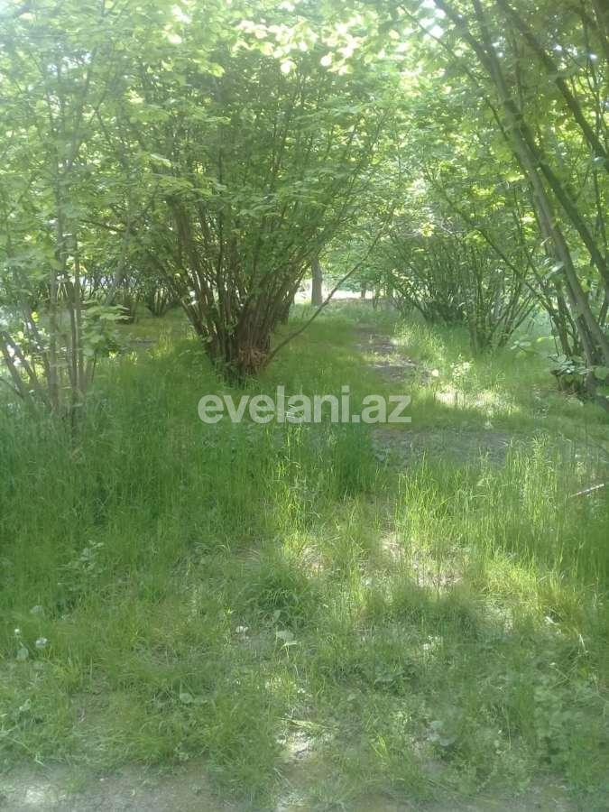 Satılır, həyət evi / bağ, 3 otaqlı, 71 m², Şəki