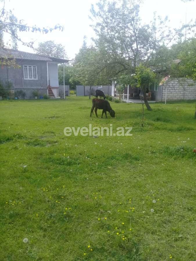 Satılır, həyət evi / bağ, 3 otaqlı, 71 m², Şəki