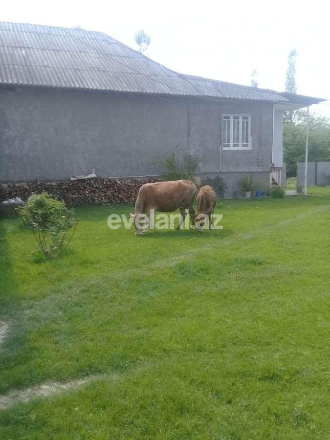 Satılır, həyət evi / bağ, 3 otaqlı, 71 m², Şəki