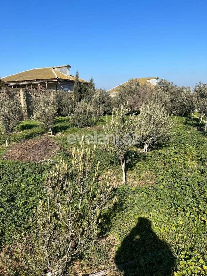 Satılır, həyət evi / bağ, 5 otaqlı, 250 m², Bakı, Sabunçu r, Bilgəh q.