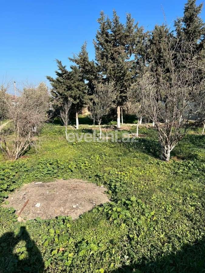 Satılır, həyət evi / bağ, 5 otaqlı, 250 m², Bakı, Sabunçu r, Bilgəh q.