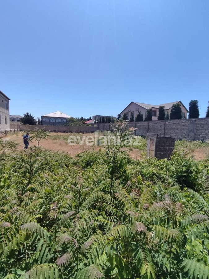 Sale, land, 8 ar, Baku, Khazar r, Mardakan d.