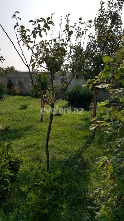 Сдаётся, дом / дача, 5-комнаты, 300 m², Баку, Хазарский r, Тюркан p.