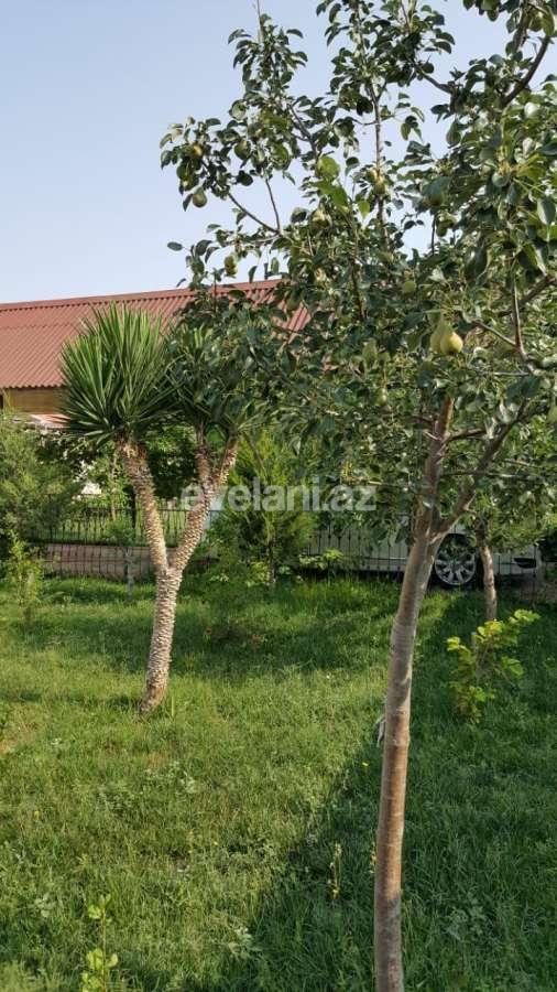 Сдаётся, дом / дача, 5-комнаты, 300 m², Баку, Хазарский r, Тюркан p.