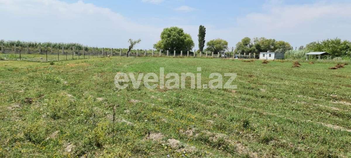 Satılır, obyekt, 500 m², Xaçmaz