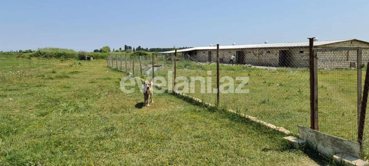 Satılır, obyekt, 500 m², Xaçmaz