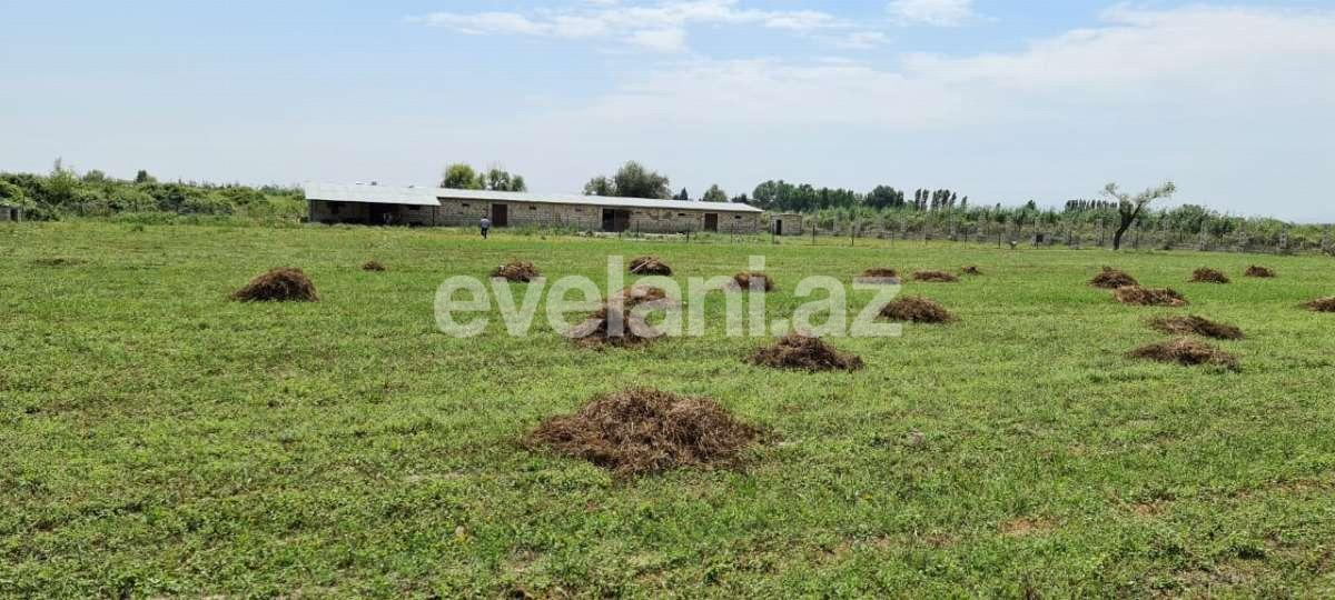 Satılır, obyekt, 500 m², Xaçmaz