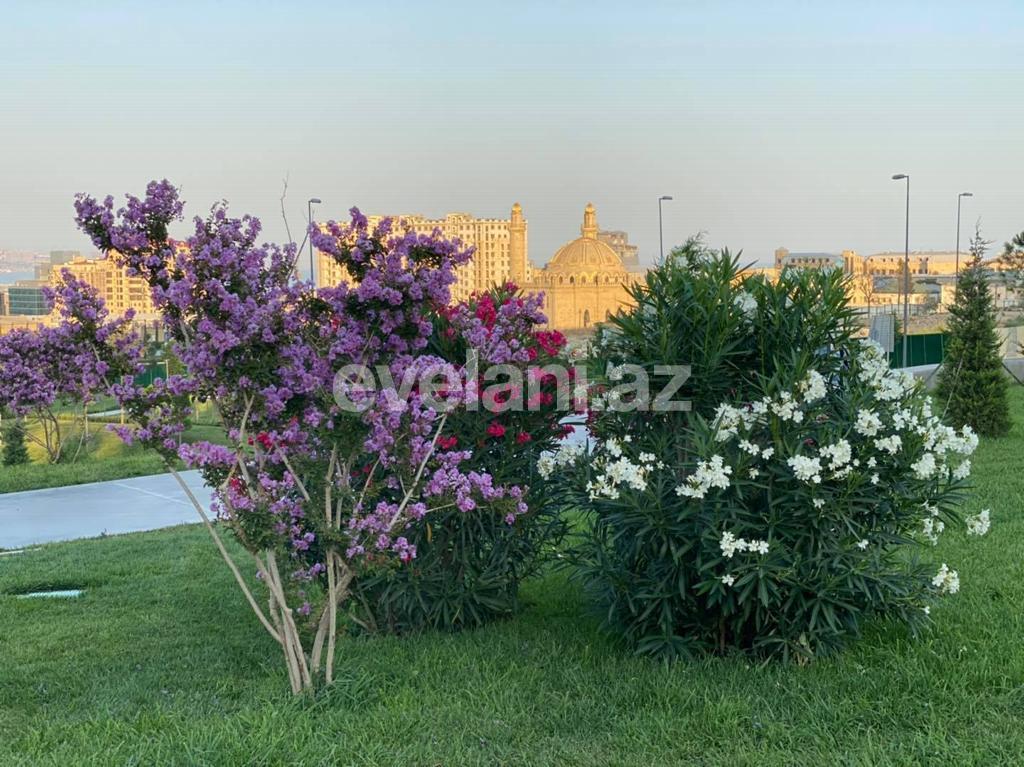 Satılır, köhnə tikili, 2 otaqlı, 60 m², Bakı, Yasamal r, Nizami m.