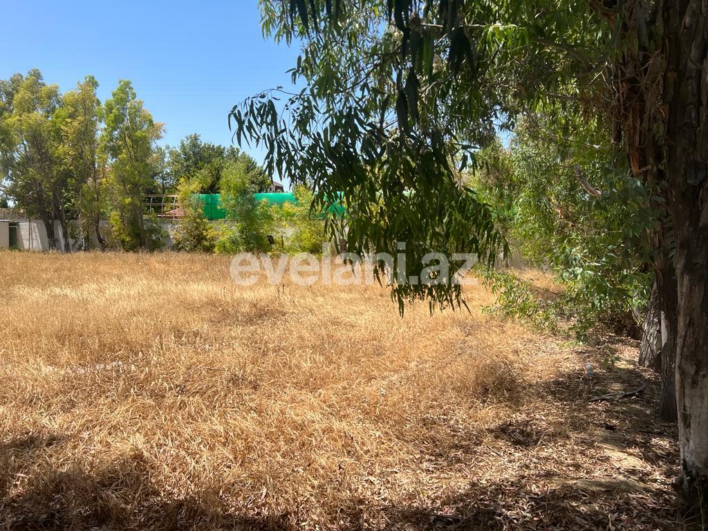 Satılır, torpaq, 12 sot, Bakı, Xəzər r, Şüvəlan q.