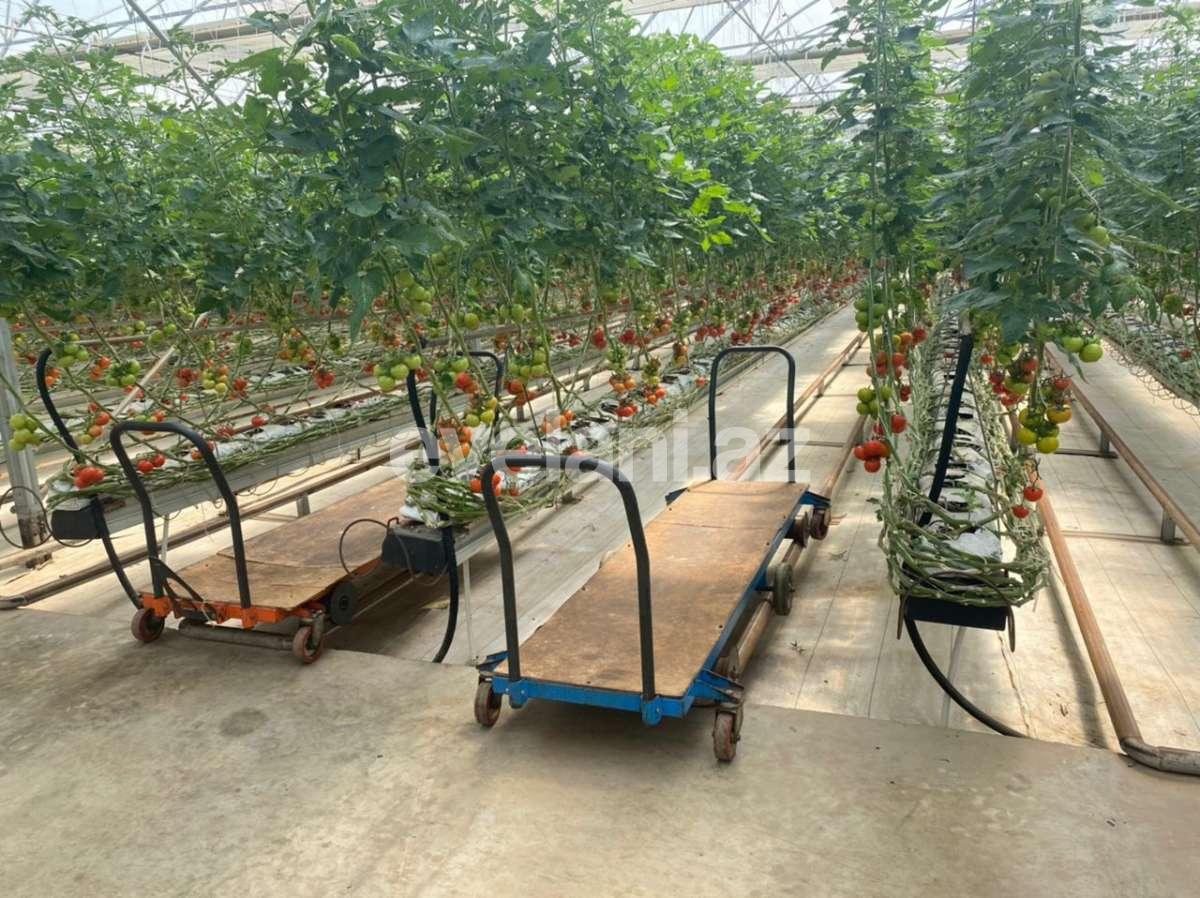 Satılır, obyekt, 300 m², Bakı, Sabunçu r, Ramana q, Koroğlu m.