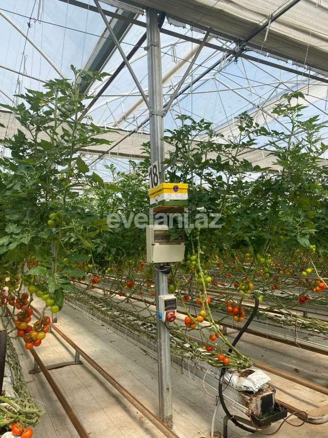 Satılır, obyekt, 300 m², Bakı, Sabunçu r, Ramana q, Koroğlu m.