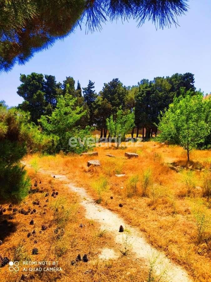 Satılır, torpaq, 59 sot, Bakı, Nizami r, Neftçilər m.