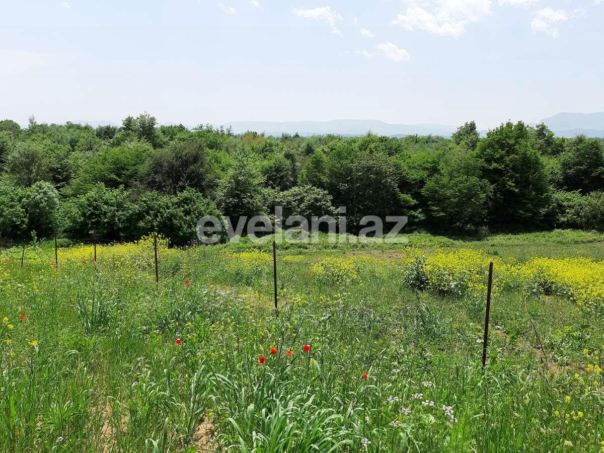 Продаётся, участок, 192 сот, Губа