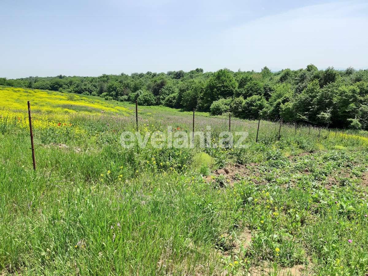 Продаётся, участок, 192 сот, Губа