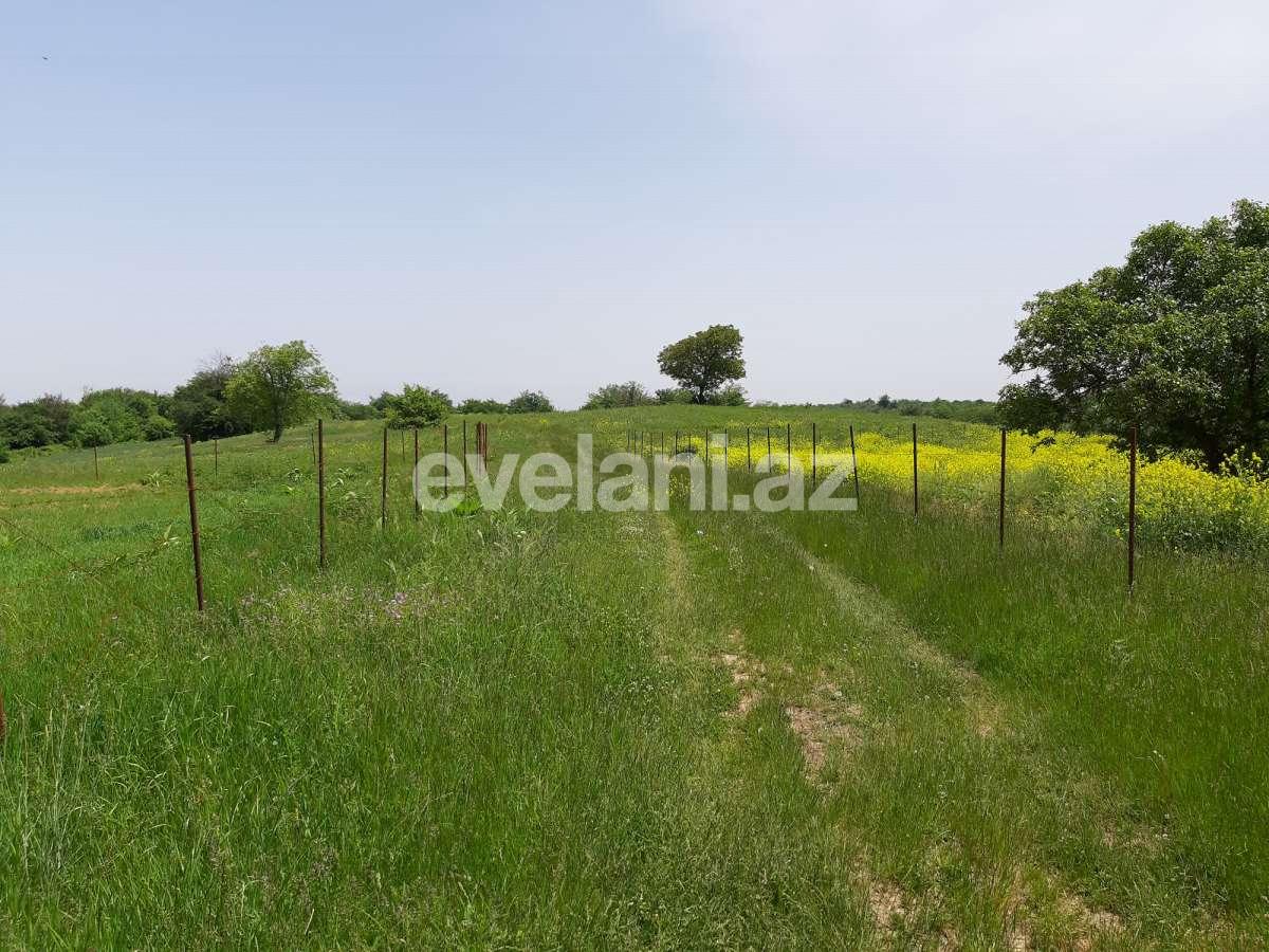 Продаётся, участок, 192 сот, Губа