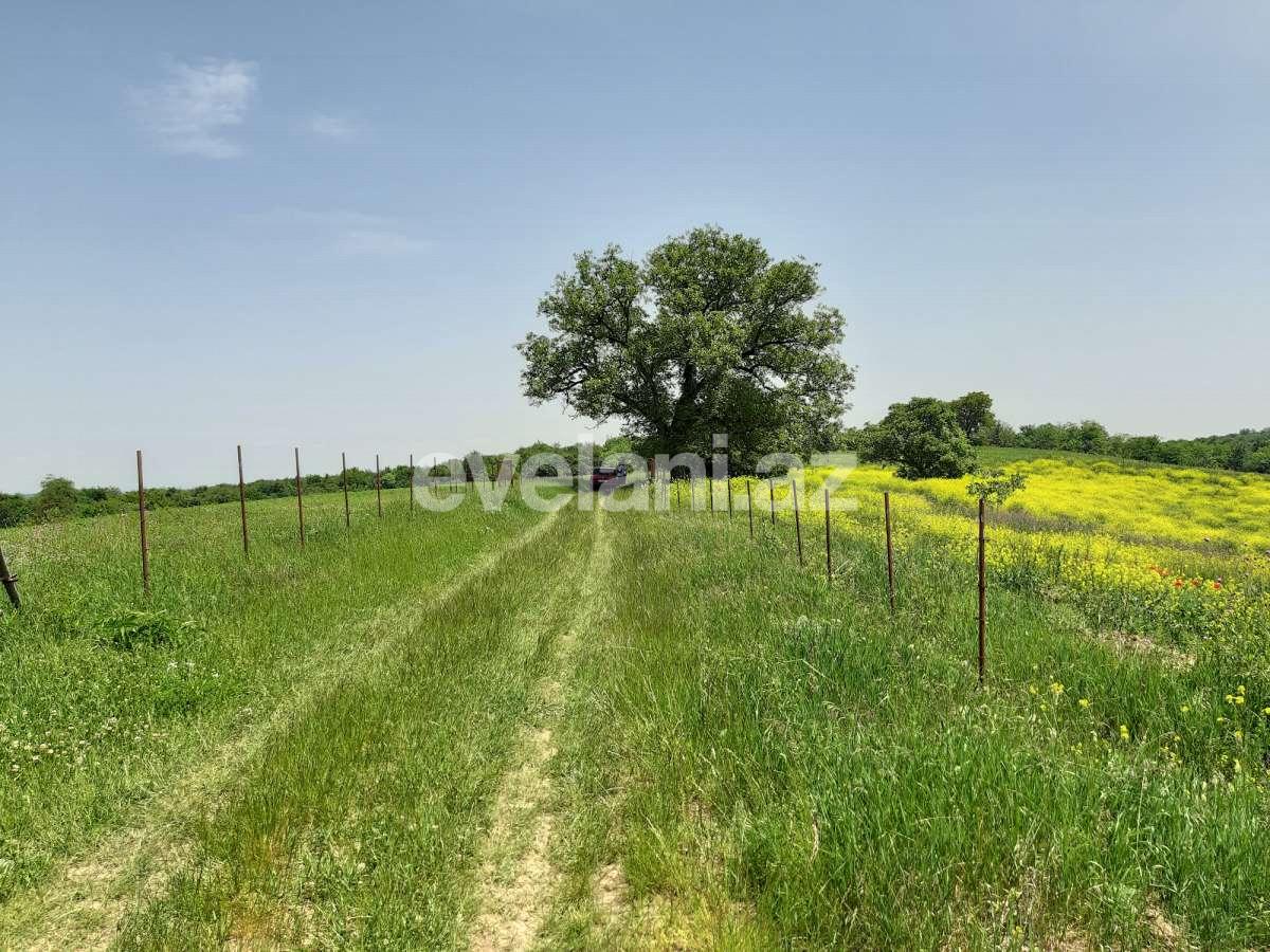 Продаётся, участок, 192 сот, Губа