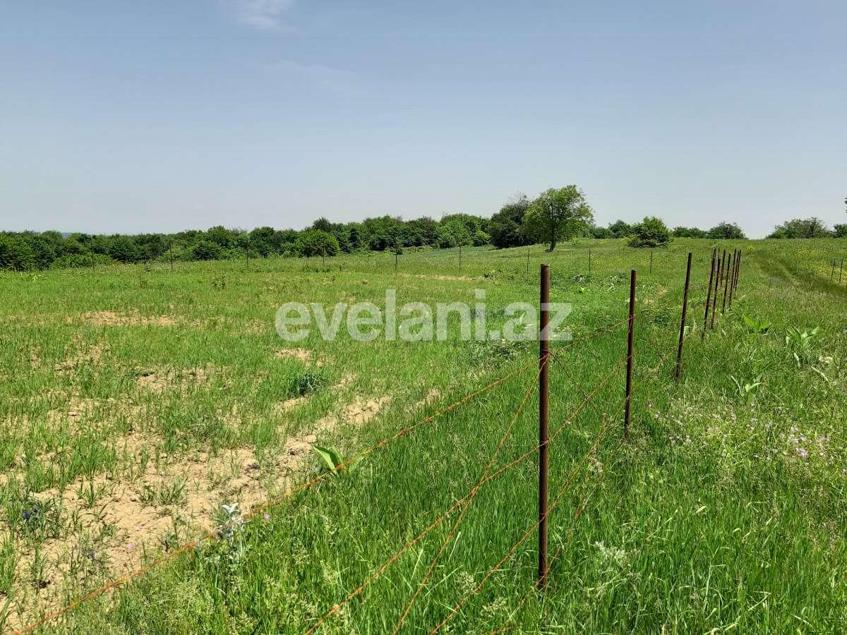 Продаётся, участок, 192 сот, Губа