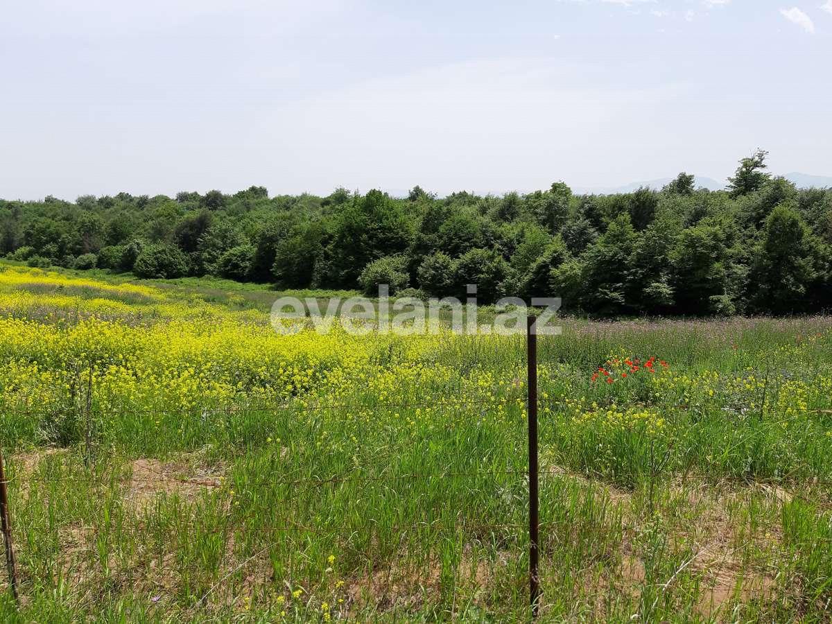 Продаётся, участок, 192 сот, Губа