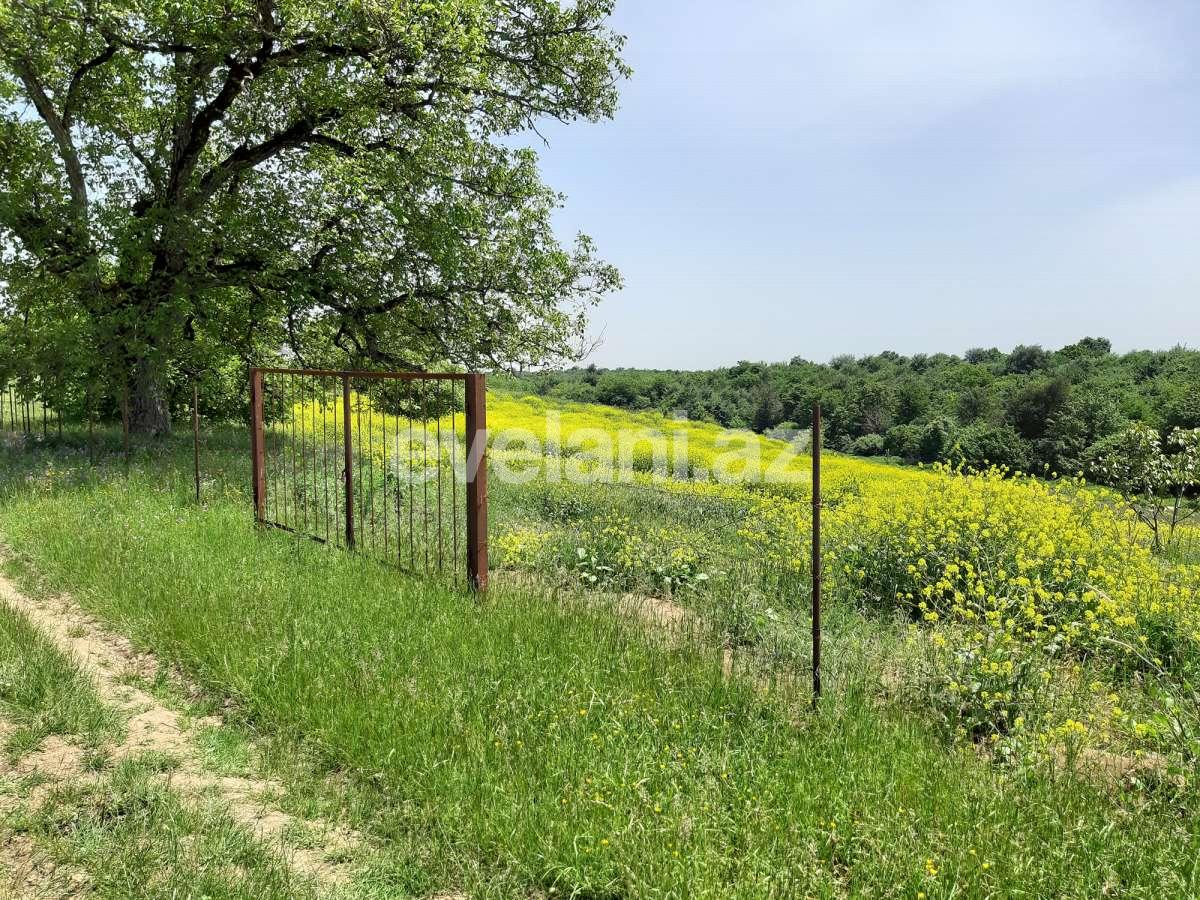 Продаётся, участок, 192 сот, Губа