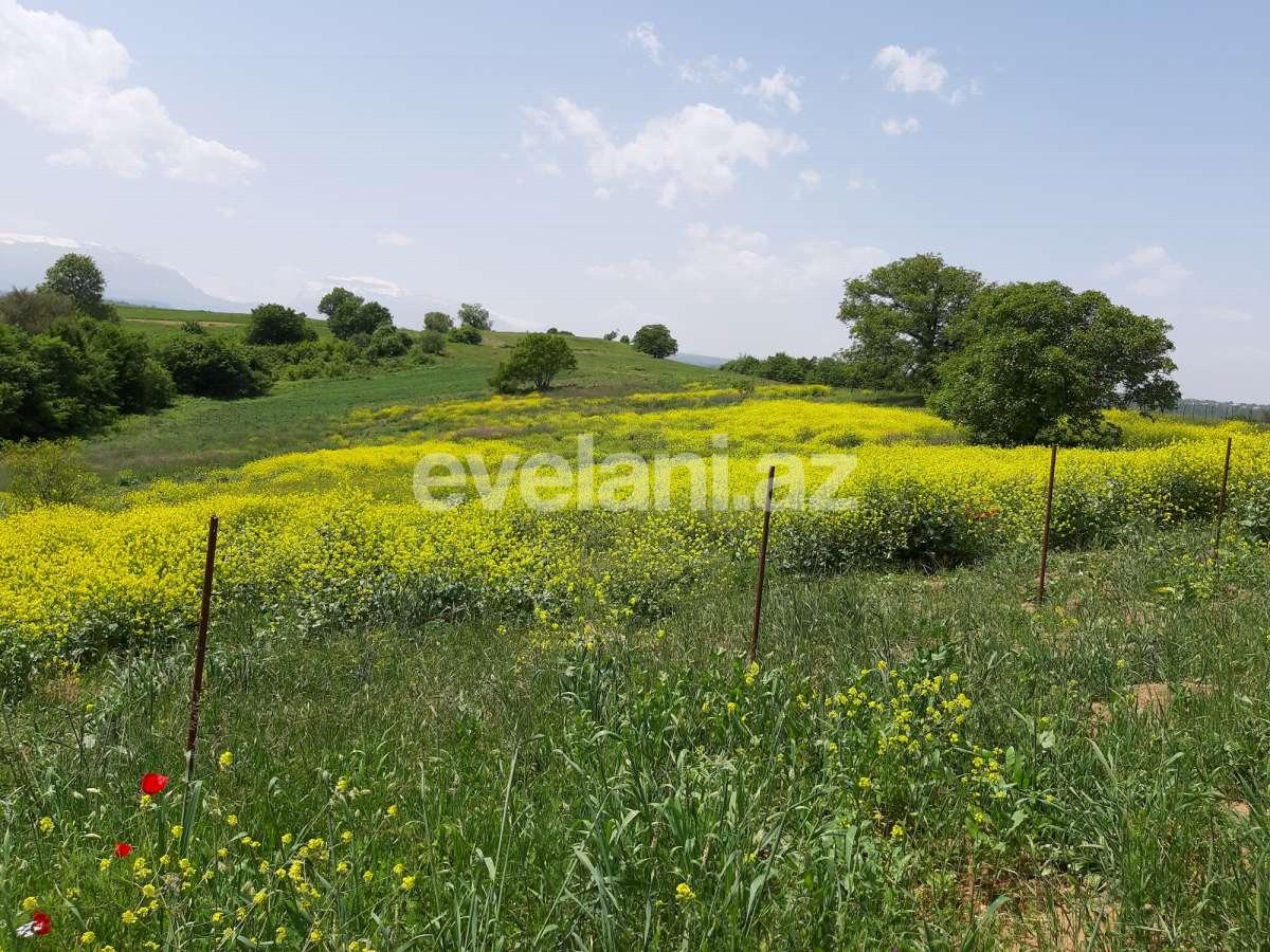 Продаётся, участок, 192 сот, Губа