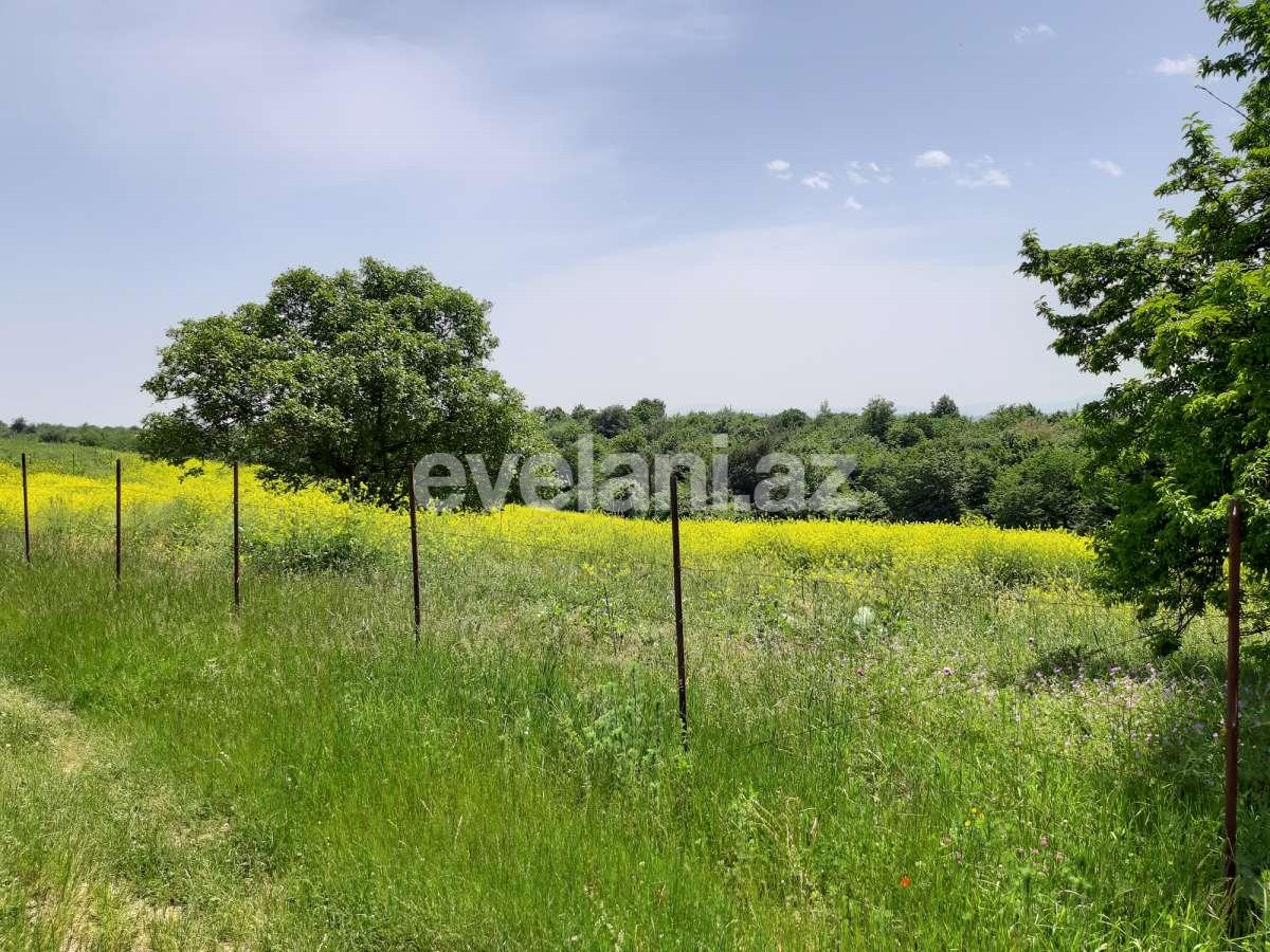 Продаётся, участок, 192 сот, Губа