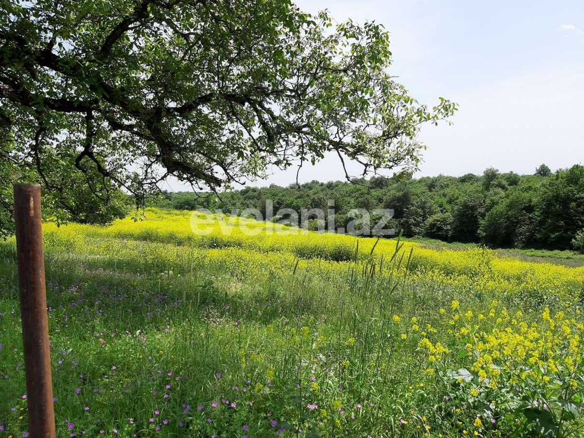 Продаётся, участок, 192 сот, Губа