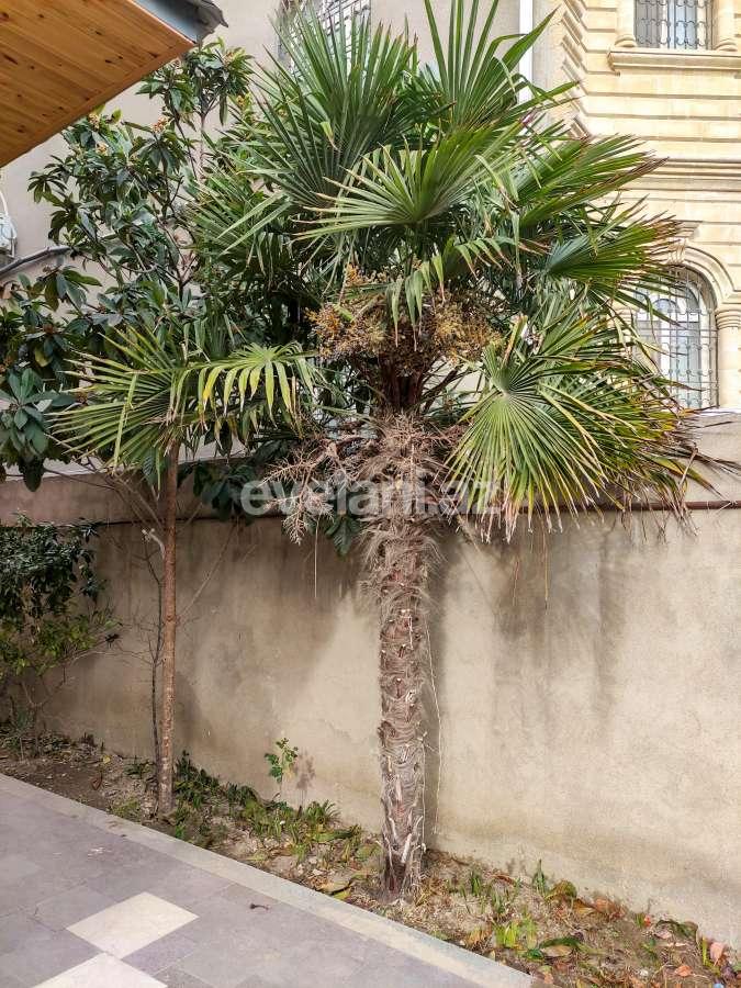 Kirayə verilir, həyət evi / bağ, 5 otaqlı, 220 m², Bakı, Nizami r, Qara Qarayev m.