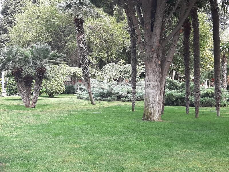 Sale, old building, 2 room, 85 m², Baku, Sabail r.