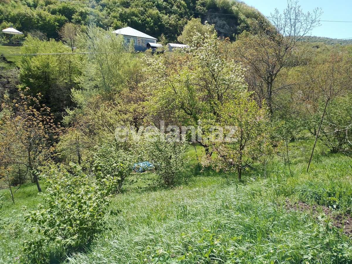 Sale, garden / house, 3 room, 80 m², Ismayilli