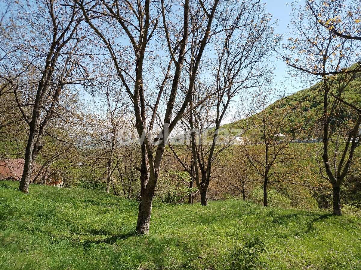 Sale, garden / house, 3 room, 80 m², Ismayilli