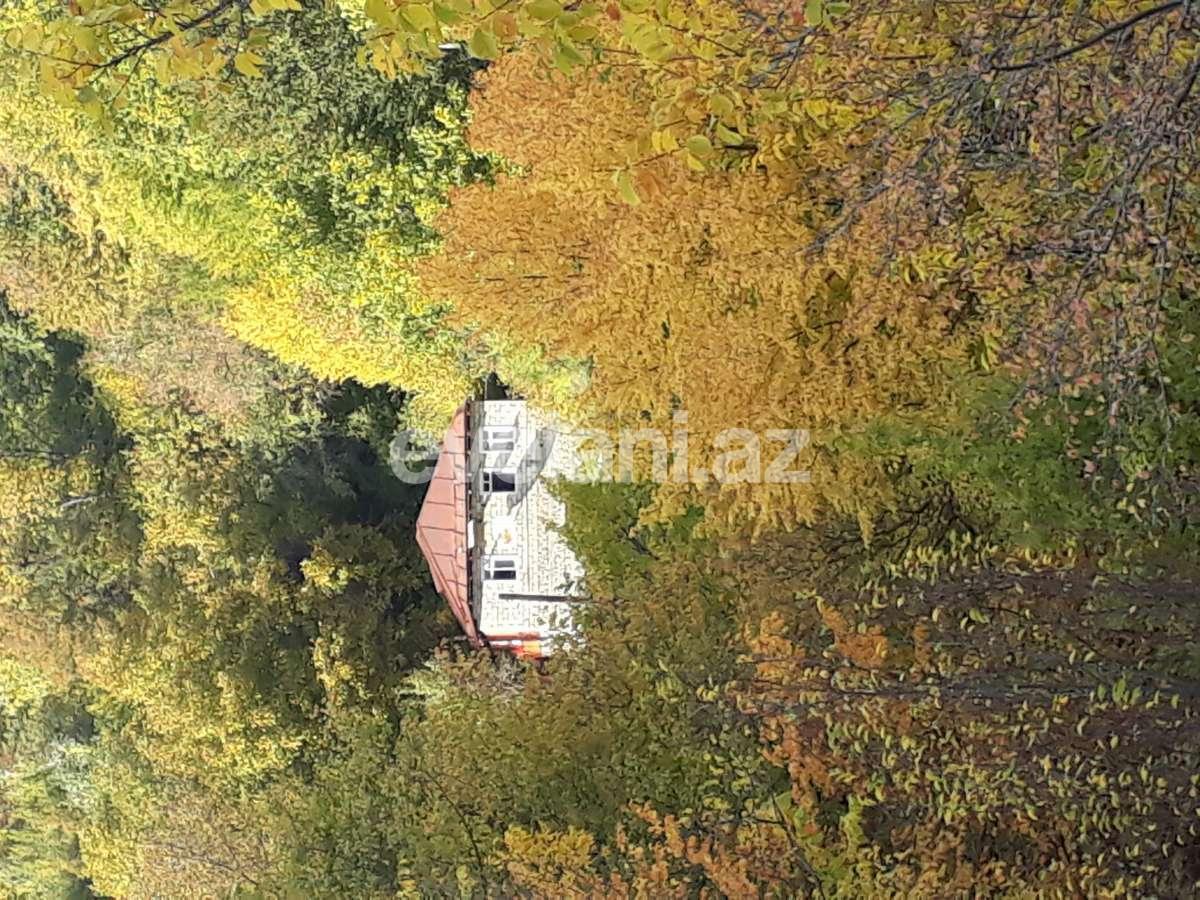 Sale, garden / house, 3 room, 80 m², Ismayilli