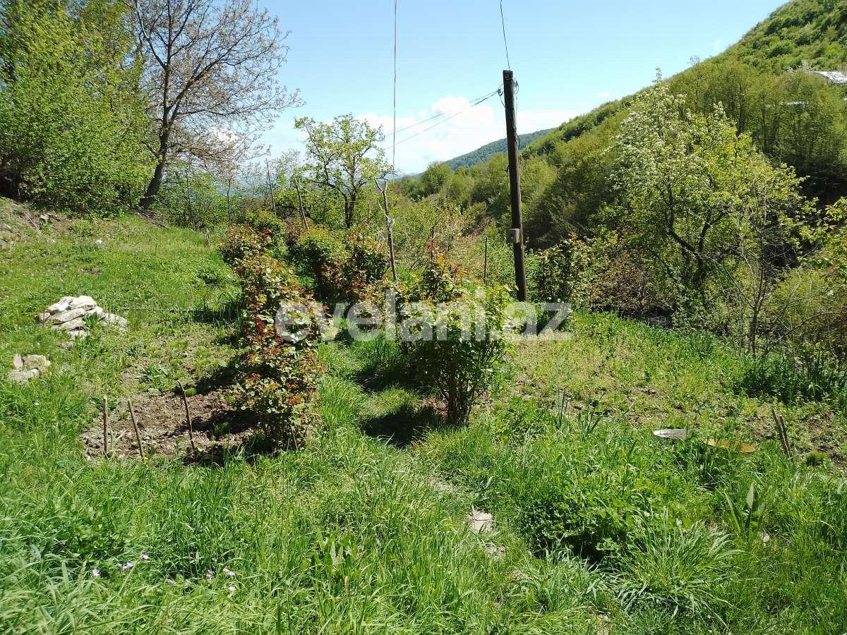 Sale, garden / house, 3 room, 80 m², Ismayilli