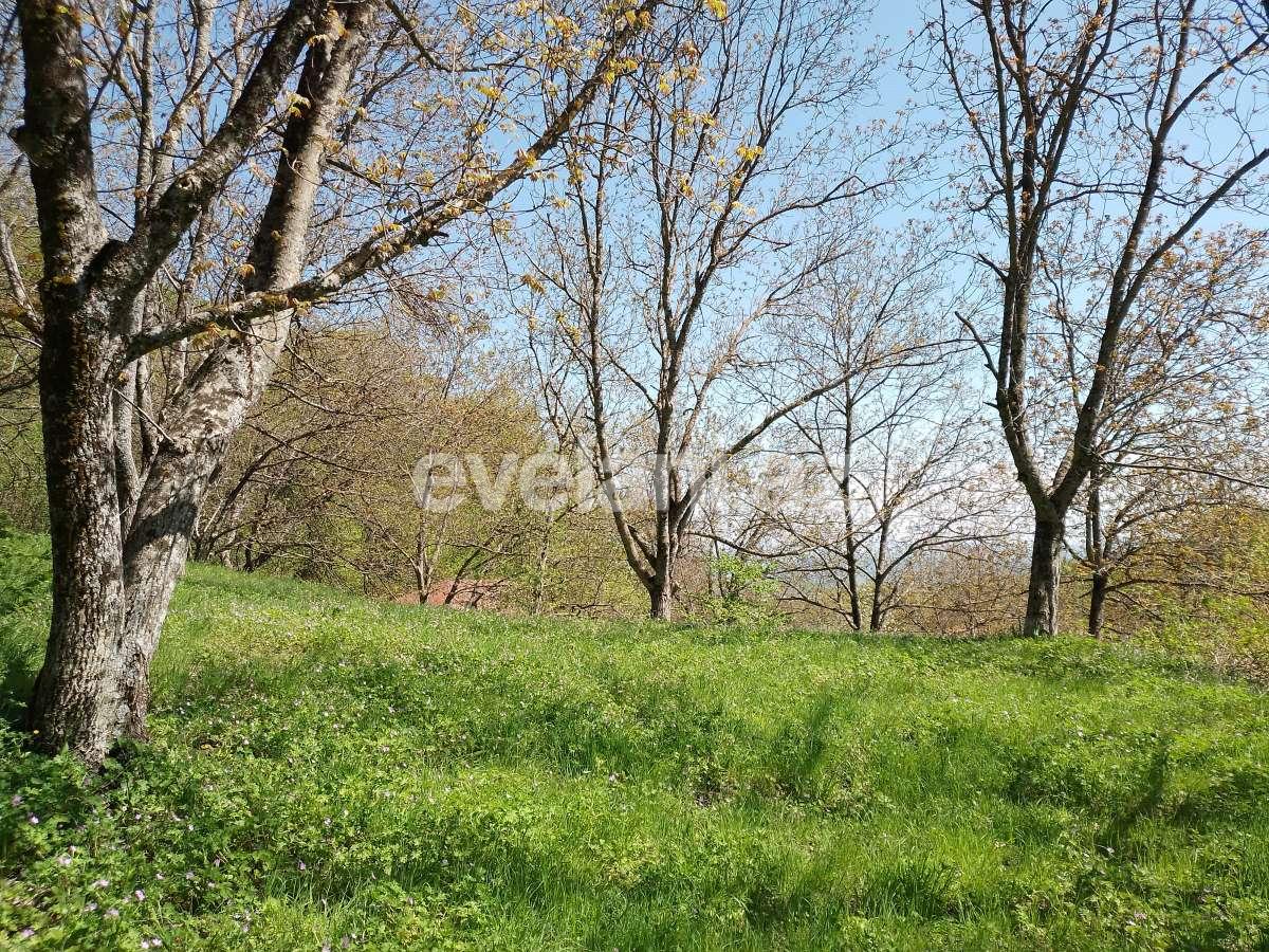 Sale, garden / house, 3 room, 80 m², Ismayilli