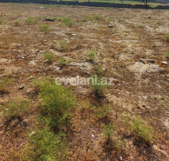 Sale, land, 12 ar, Baku, Khazar r, Gala d.