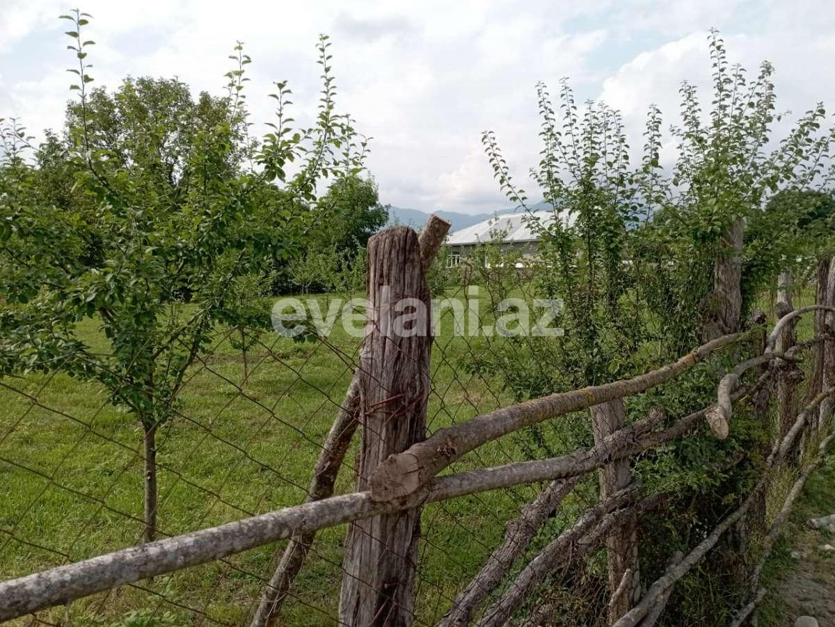 Satılır, torpaq, 20 sot, Qəbələ