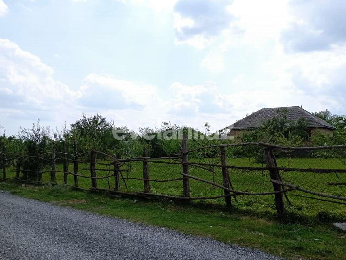 Satılır, torpaq, 20 sot, Qəbələ