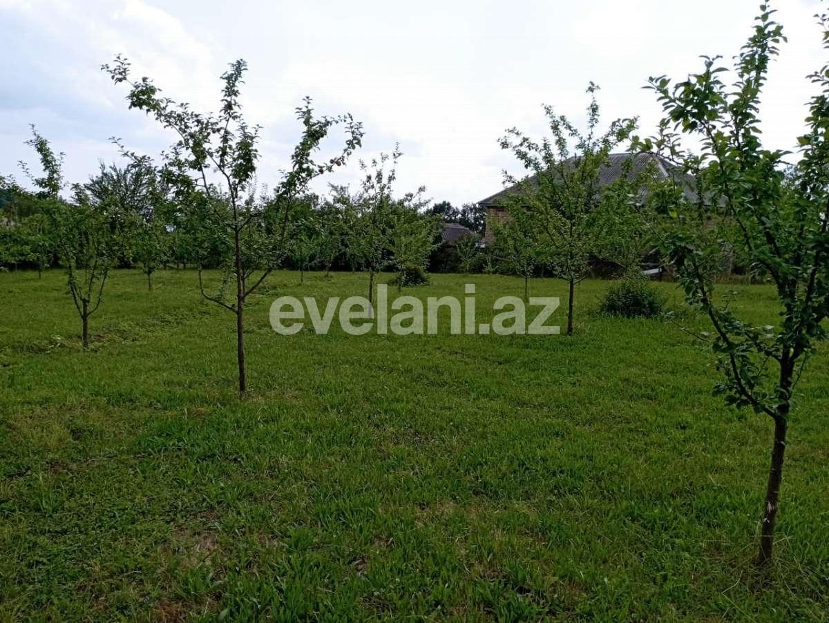 Satılır, torpaq, 20 sot, Qəbələ