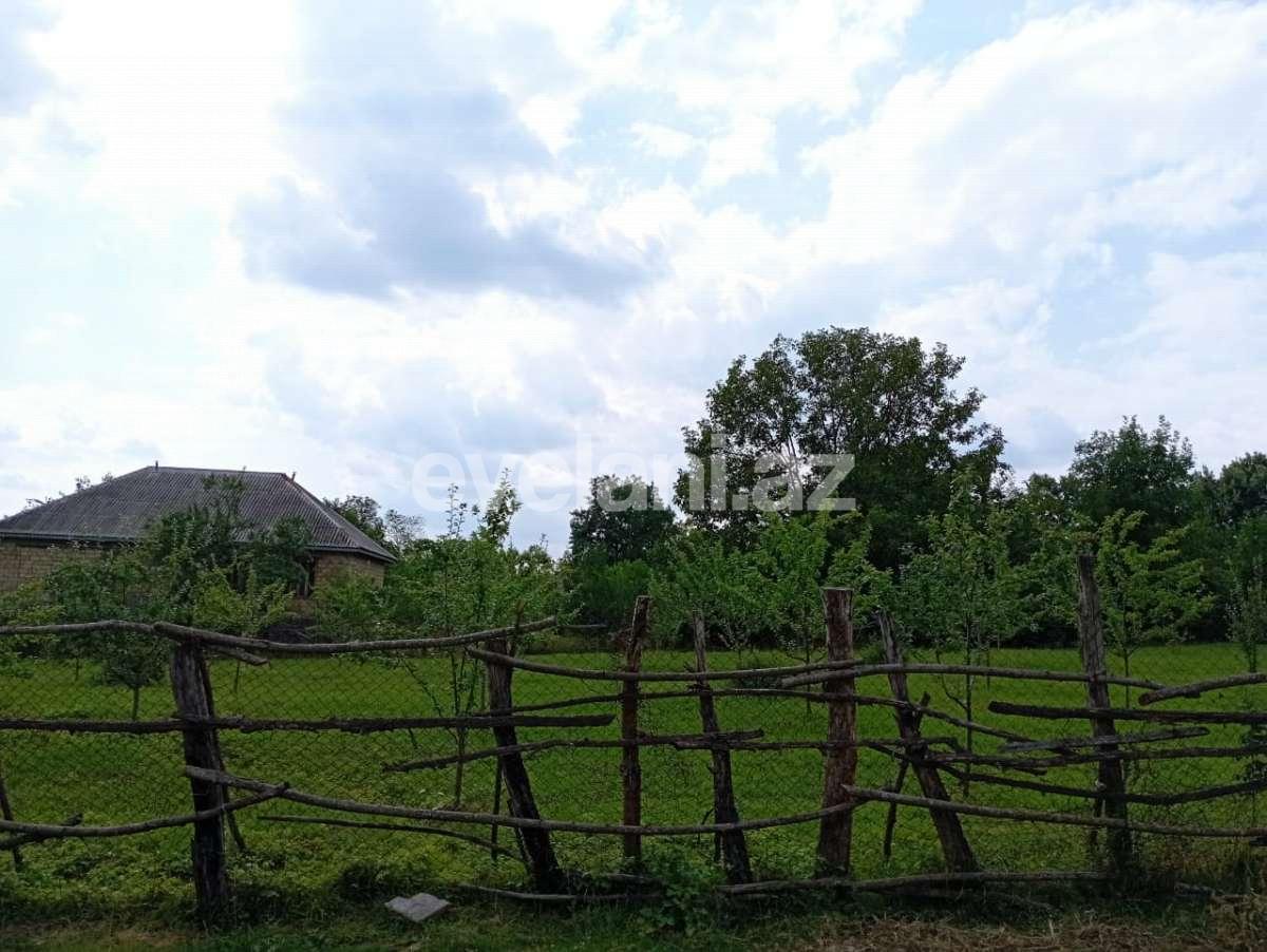 Satılır, torpaq, 20 sot, Qəbələ